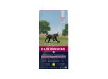 Eukanuba Puppy Large Breed 12kg