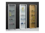 VCM Glasvitrine stehend Vitrine Glas mit ESG-Sicherheitsglas Maße ca. H. 115 x B. 33 x T. 18 cm Standvitrine Glas Modern und platzsparend Glas Vitrinenschrank – Edana Mini