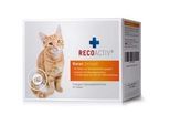 Recoactiv Nieren Tonicum für Katzen Kurpackung 3X90 ml