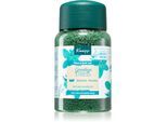 Kneipp Goodbye Stress Badzout 500 gr