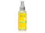 Saloos Air Fresheners Lemon huisparfum 50 ml