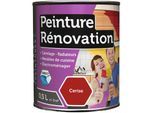 Batir Peintures - Peinture rénovation multi-surfaces boîte 0,5 l cerise