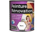 Peinture rénovation multi-surfaces boîte 0,5 l blanc