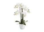 Botanic-Haus Kunstblume »Phalenopsis Topf 4 Rispen«