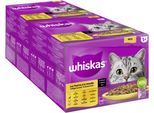 WHISKAS Portionsbeutel Multipack Vorratspack 1+ Geflügel Auswahl in Sauce 24 x 85g