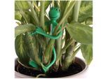 Attache-plantes forme grenouille - lot de 2 - Vert - Astuceo