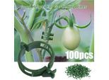 Ersandy - Lot de 100 pinces de support pour plantes, tomates, liens, ficelles, treillis de vigne, cages, plantes grimpantes, légumes, 2.5cm