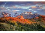 Papermoon Fototapete »GEBIRGE-HERBST NATUR ALPEN LANDSCHAFT WALD BÄUME BERGE«