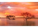 Papermoon Fototapete »MANGROVE-BÄUME WOLKEN GEBIRGE KÜSTE BLUMEN SONNE WALD«