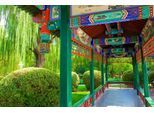 Papermoon Fototapete »PAVILLON-PEKING PERGULA GASSE PARK BLUMEN GARTEN BÄUME«