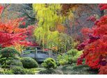 Papermoon Fototapete »GARTEN-NATUR WALD BÄUME HERBSTLANDSCHAFT BLUMEN SEE XXL«
