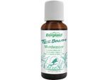 Teebaum Mundwasser 30 ml