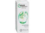 Ledum Similiaplex Tropfen 50 ml