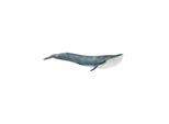 Schleich Blue Whale