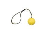 Trixie Ball on a Strap ø 6 cm/35 cm assorted colours