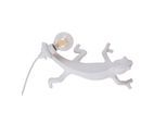 SELETTI Chameleon Lamp Going Down Wandlampe USB