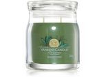 Yankee Candle Sage & Citrus bougie parfumée Signature Signature 368 g