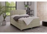 Doppel Boxspringbett Stuttgart 160x200cm NB1GPRI1602001
