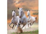 Papermoon Fototapete »White Stallions in Dust«