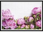 queence Bild »Karen«, Blumen, Rosen, gerahmt