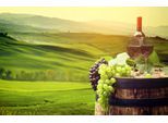 Papermoon Fototapete »WEINBAU-WEIN TRAUBEN FELD WIESE WEIN SONNE LANDSCHAFT«
