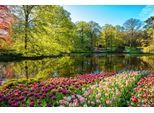 Papermoon Fototapete »GARTEN-BLUMEN BÄUME PFLANZEN STEINE WALD PARK BLÜTEN«