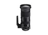 SIGMA Zoomobjektiv »60-600mm f / 4.5-6.3 DG OS HSM Sp Ca«