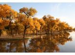 Papermoon Fototapete »HERBST LANDSCHAFT-CHINA SEE WALD BÄUME STRAND SONNE«