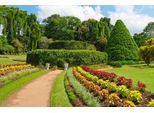 Papermoon Fototapete »GARTEN-BLUMEN BÄUME PFLANZEN PARK STEINE WALD BLÜTEN«