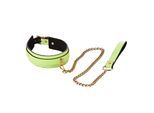 Radiant - Collar and Leash