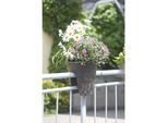 Blumentopf Flowerclip 3-er Set
