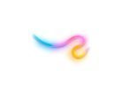 WiZ Neon Flex Strip 3 m 24W RGB