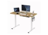 FLEXISPOT Schreibtisch Basic Plus Elektrisch Höhenverstellbarer Schreibtisch