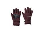 Jack Wolfskin Skihandschuhe »2L WINTER GLOVE K«