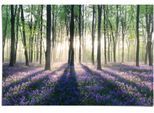 Reinders! Poster »Glockenblumen im Wald«, (1 St.)