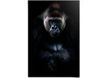 Reinders! Poster »Gorilla Gorilla«, (1 St.)