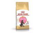 Royal Canin Maine Coon Kitten 4kg