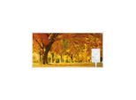 Heidenfeld Infrarotheizung HF-HP105, mit Bild, 16 Motive, 10 J. Garantie, Thermostat, Wandmontage (1000 Watt, Herbst)