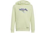 adidas Originals Hoodie - Kapuzenpullover - Junge