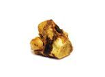Treateaters Roast Knuckle Bone