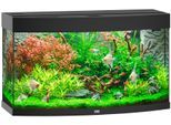 JUWEL AQUARIEN Aquarium »Vision 180 LED«, 180 Liter, BxTxH: 92x41x55 cm, inkl. MultiLux LED Einsatzleuchte