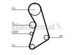 Continental Ctam Wasserpumpe + Zahnriemensatz (CT909WP5) für A4 B7 Audi B5 VW