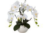 Kunstorchidee Phalaenopsis, Creativ green, Höhe 55 cm, im Keramiktopf, weiß