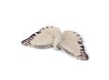 WWF - Plüschtier - Schmetterling (20cm) lebensecht Kuscheltier Stofftier Plüschfigur