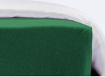 Bettlaken FLEURESSE "Flauschjersey 1127", grün, L:200cm, Jersey, Obermaterial: 100% Baumwolle, Bettlaken, Bettlaken
