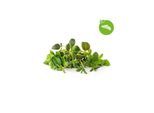 Click & Grow Smart Garden Refill 9-pack Italian Herbs Mix