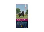 Eukanuba Adult Large Breed Chicken 12 kg