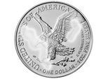 1 Unze Silber American Eagle angelaufen