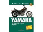Yamaha Xv Virago 535-1100 Ccm 2 Zylinder - Alan Ahlstrand John Haynes Kartoniert (TB)