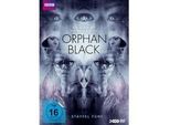Orphan Black - Staffel Fünf (DVD)